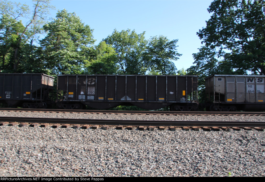 NS 10090
